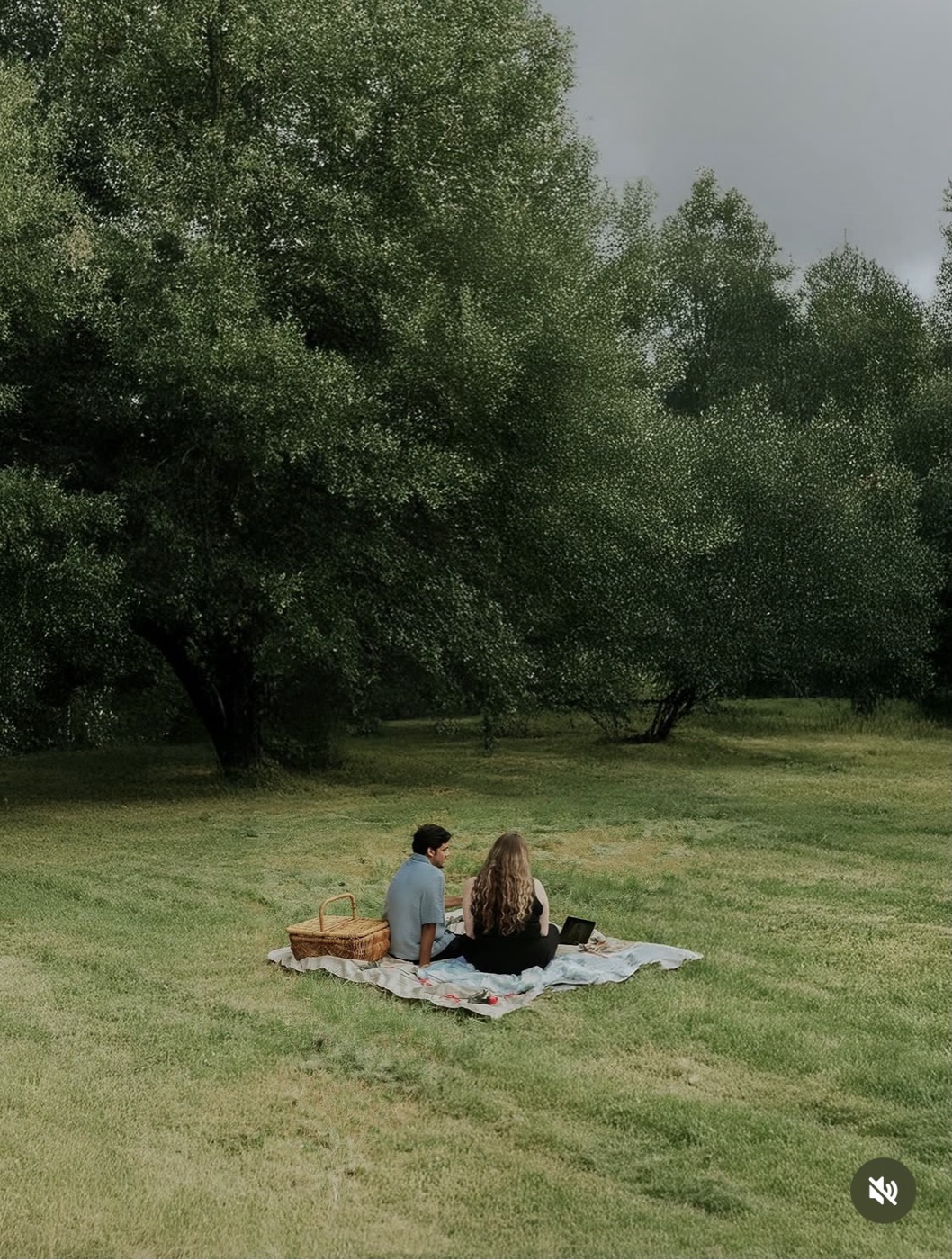 Picnic couple